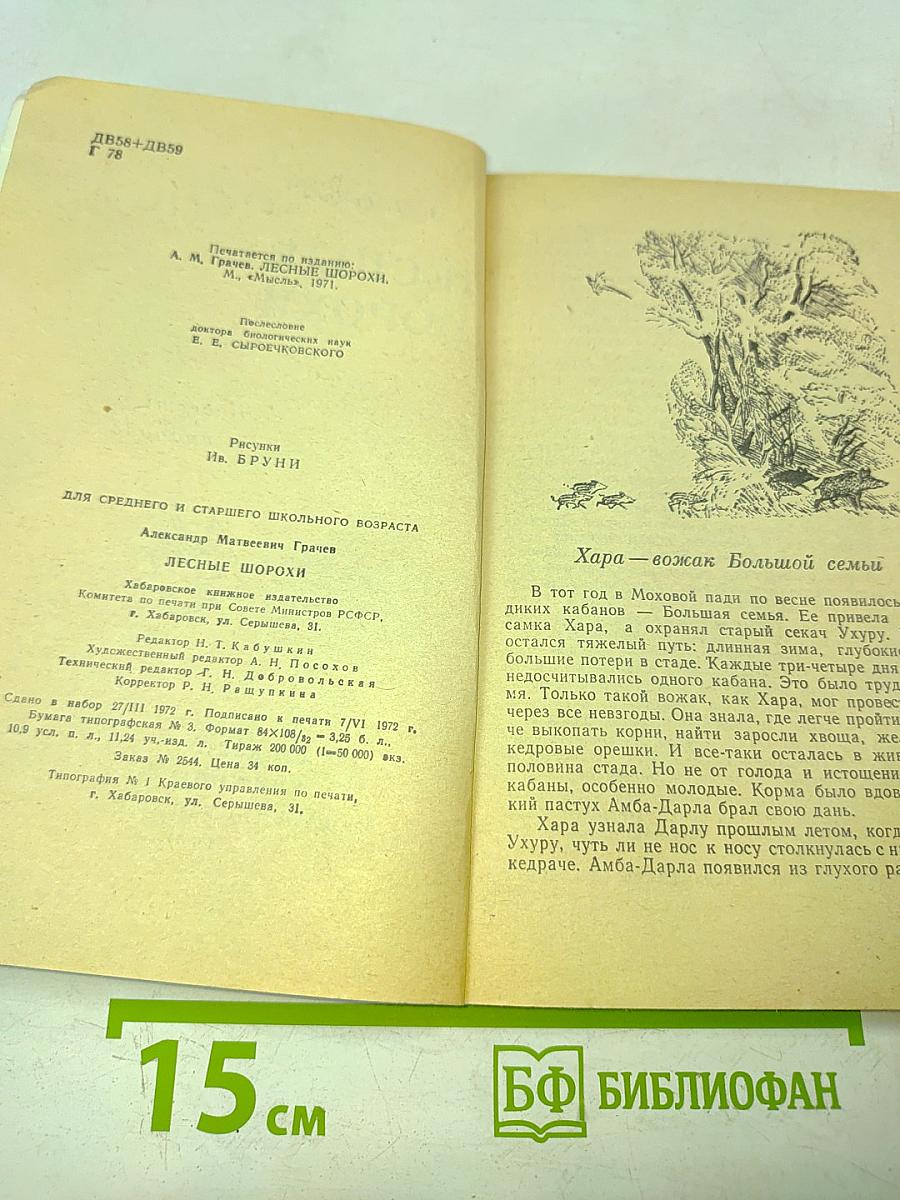 Лесные шорохи