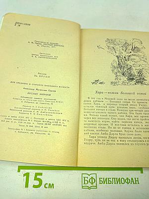 Лесные шорохи