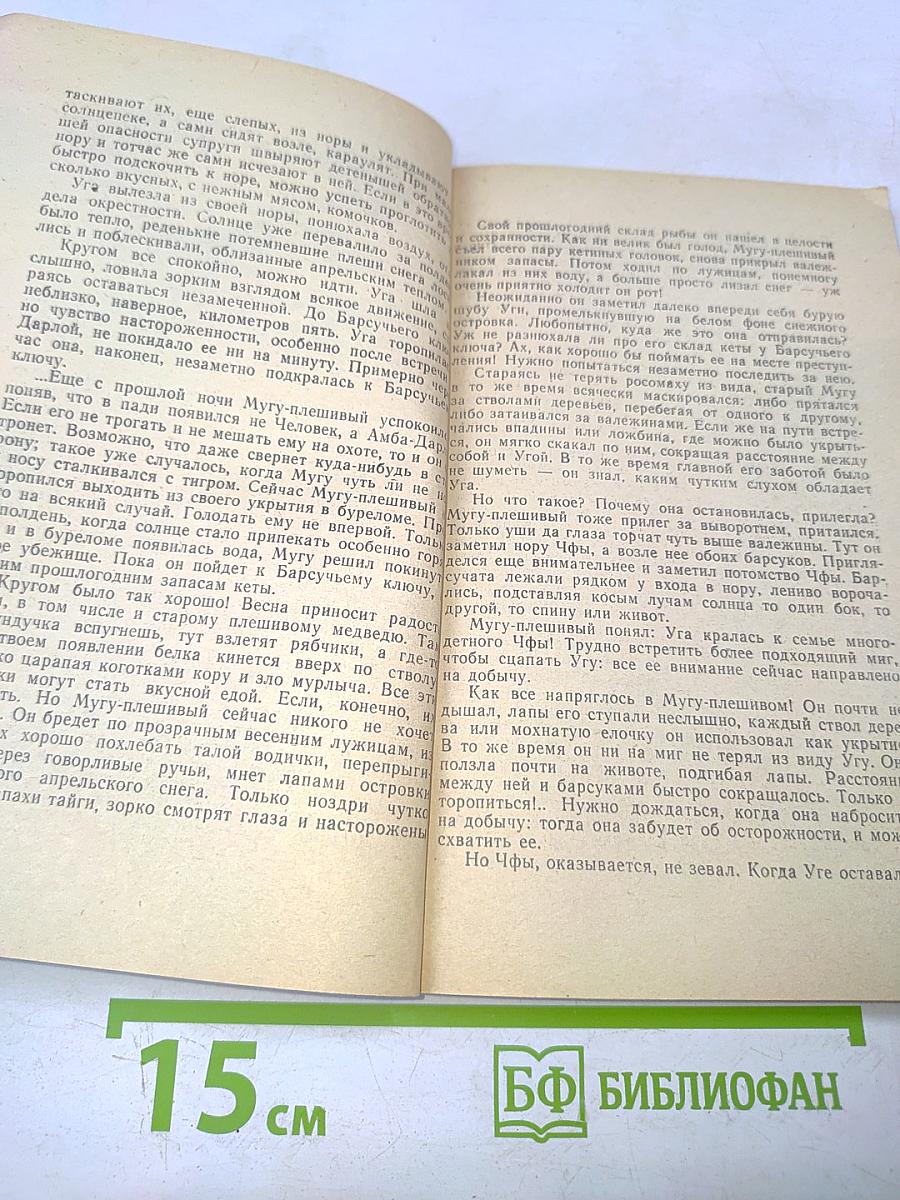 Лесные шорохи