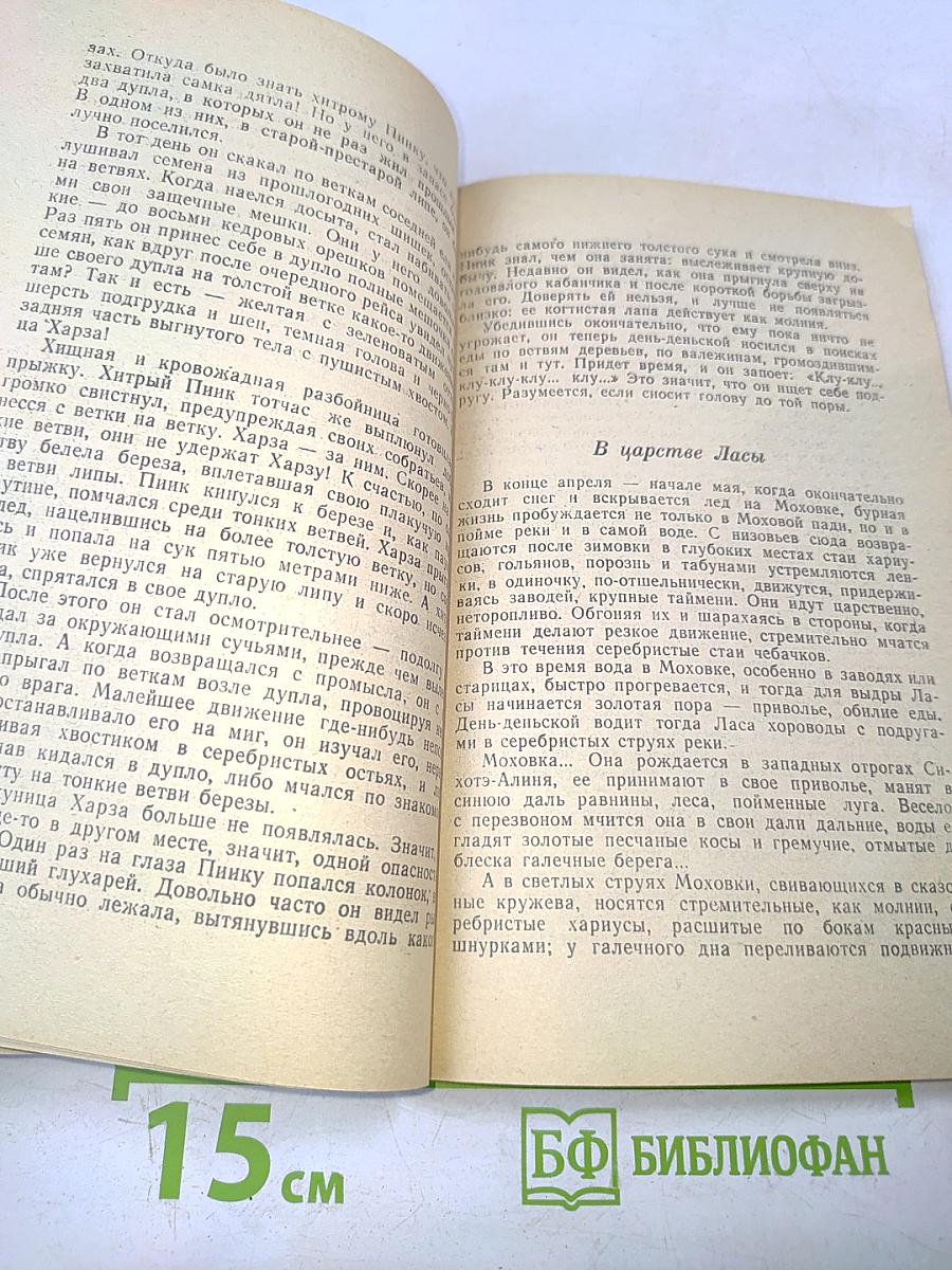 Лесные шорохи