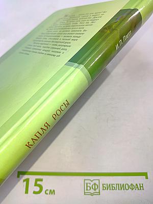 Капля росы. Чтение на каждый день