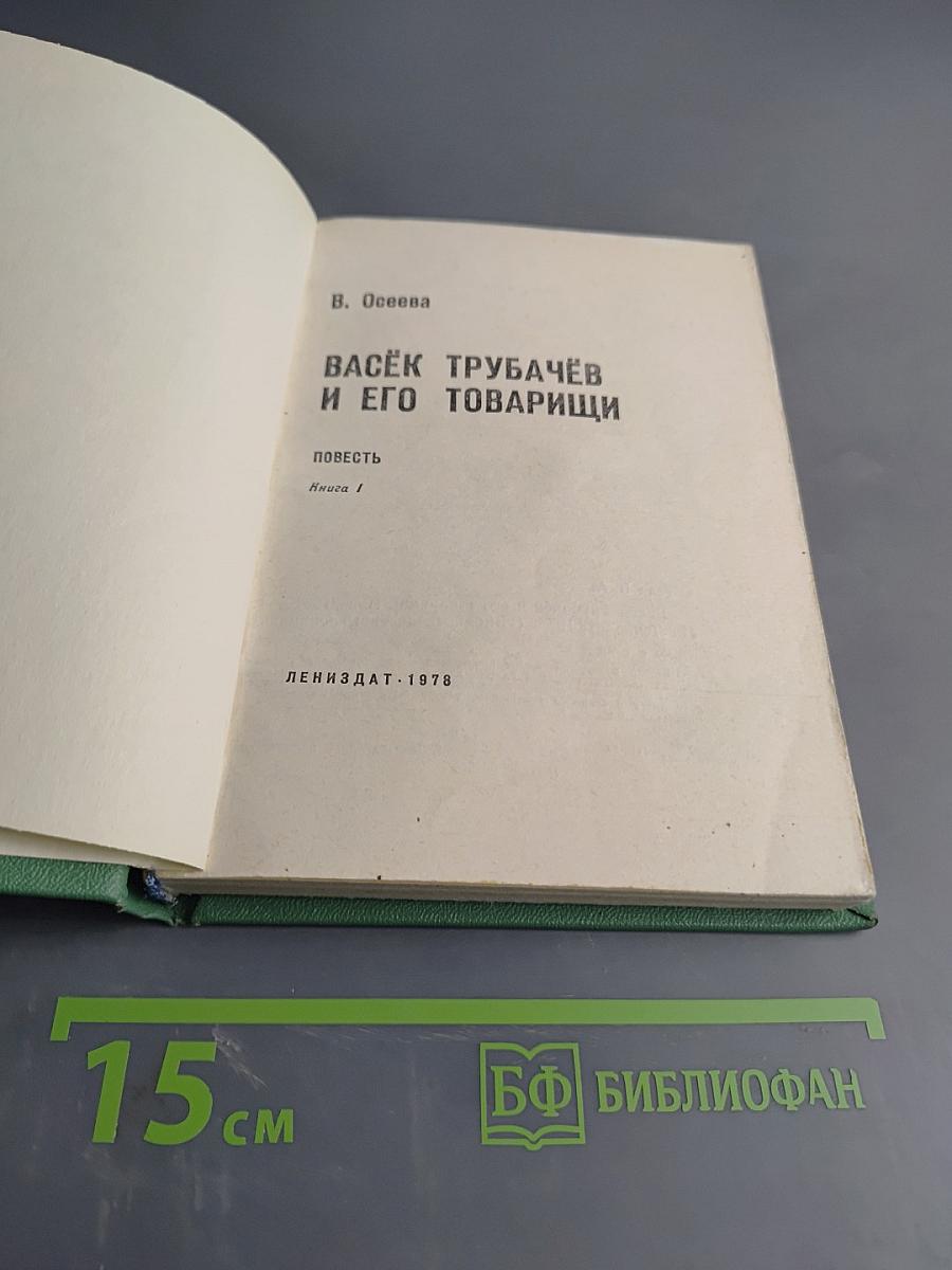 Васёк Трубачёв и его товарищи. Книга 1