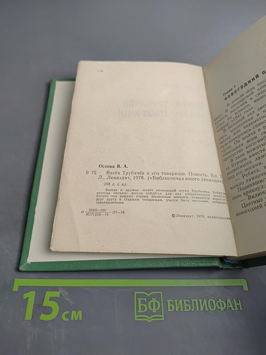 Васёк Трубачёв и его товарищи. Книга 1