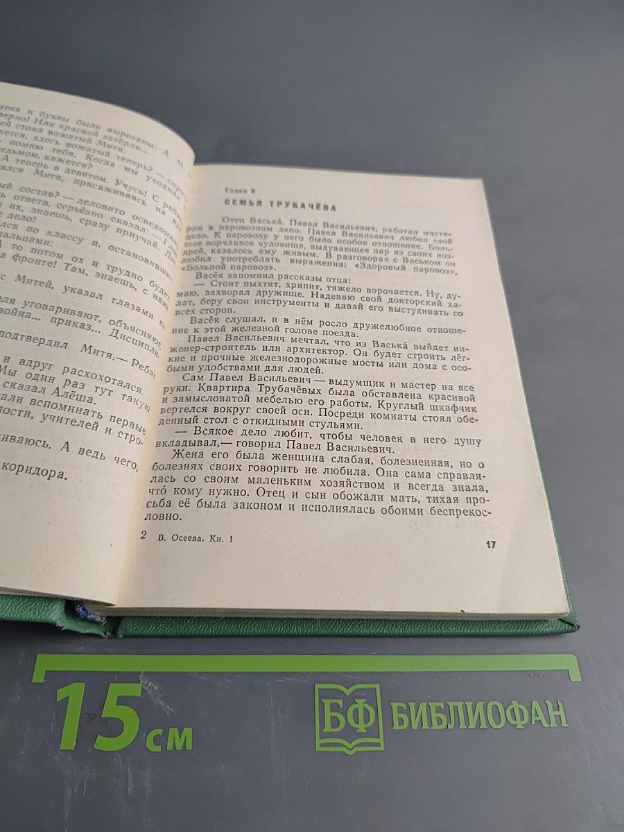 Васёк Трубачёв и его товарищи. Книга 1