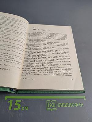 Васёк Трубачёв и его товарищи. Книга 1