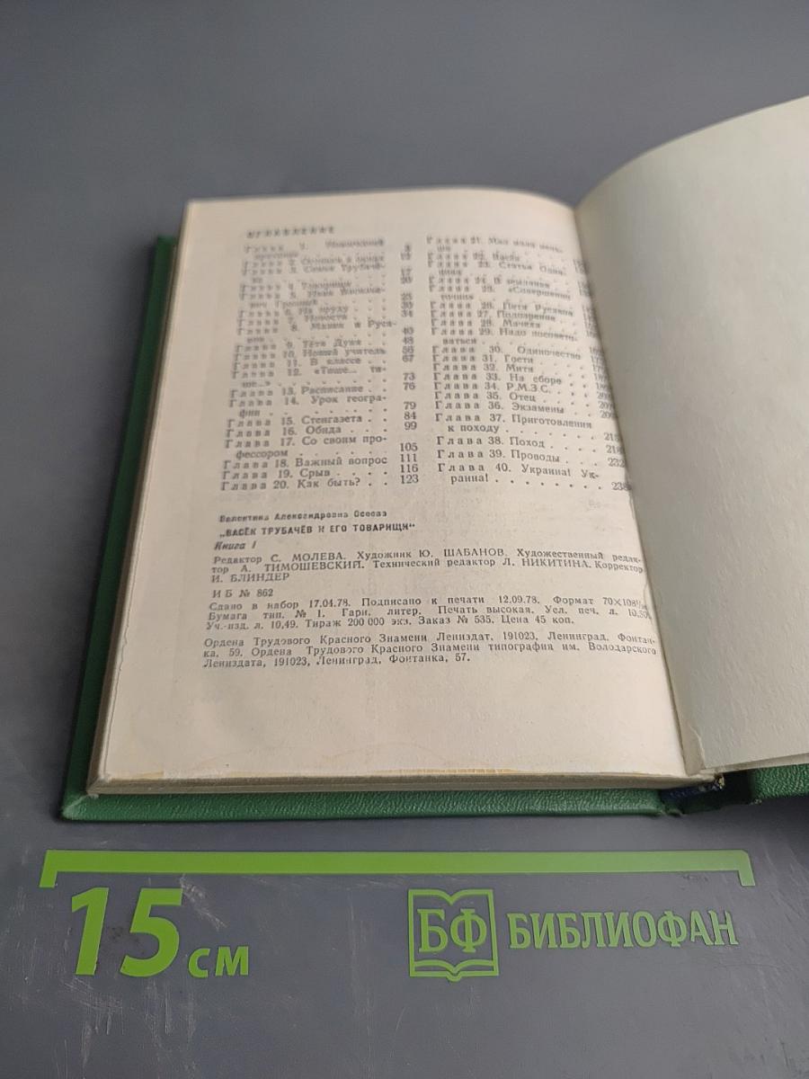 Васёк Трубачёв и его товарищи. Книга 1