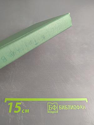 Васёк Трубачёв и его товарищи. Книга 1