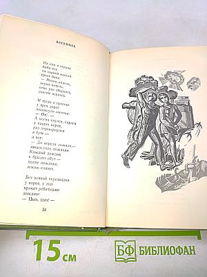 Бессонница сердца. Стихи и поэмы