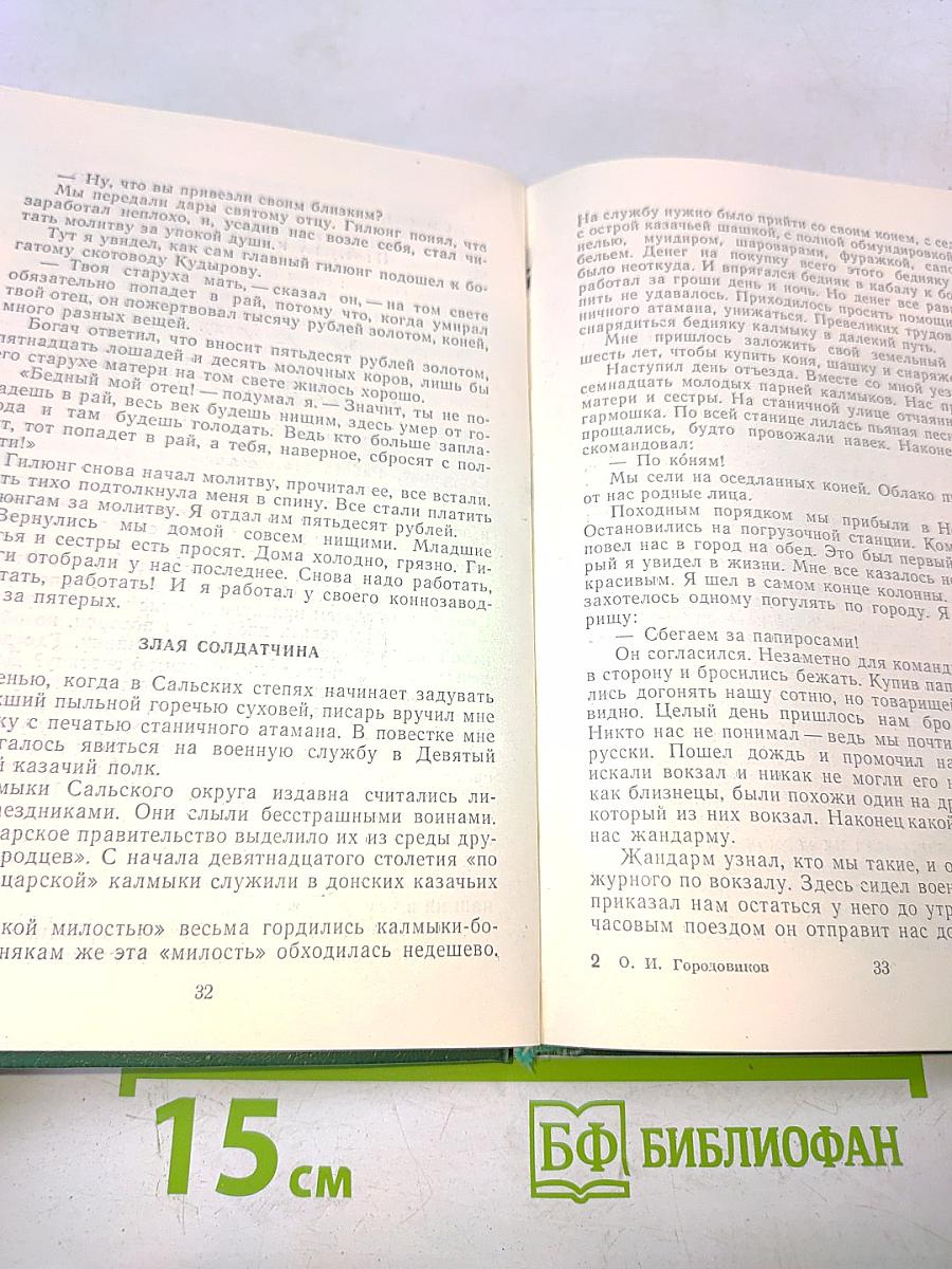 В боях и походах. Воспоминания