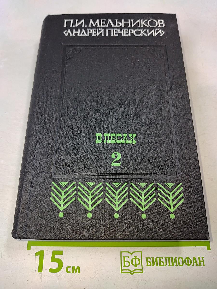В лесах. Книга вторая