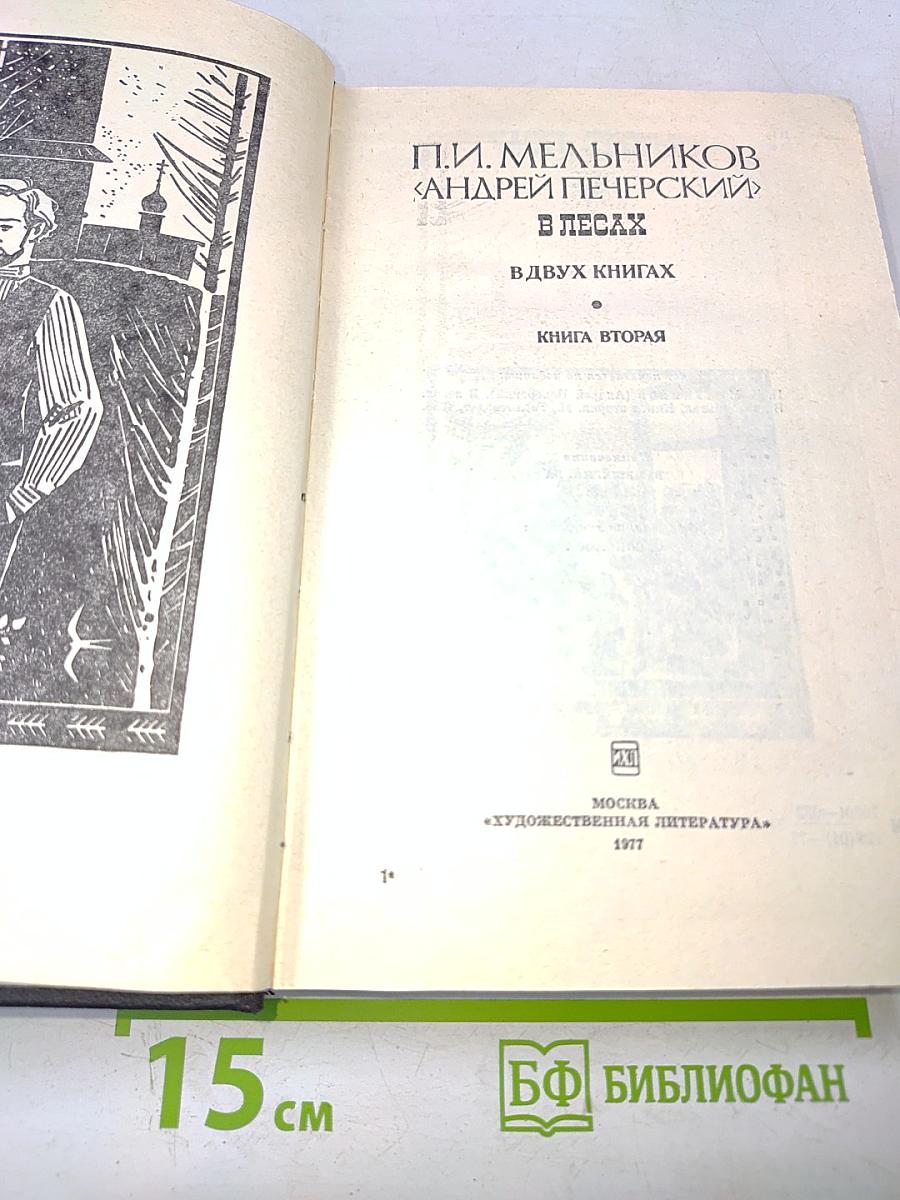 В лесах. Книга вторая