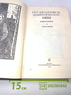 В лесах. Книга вторая