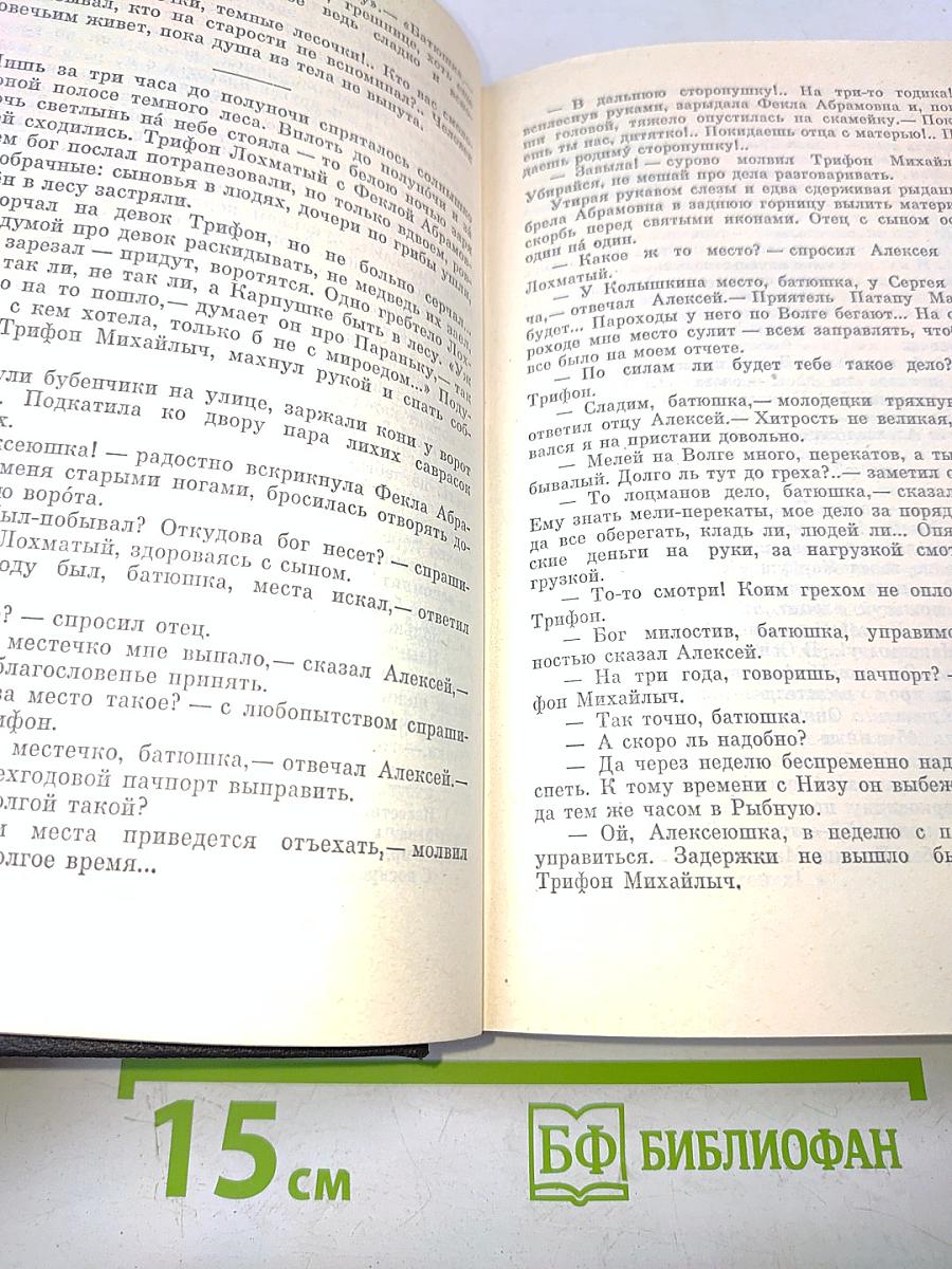 В лесах. Книга вторая