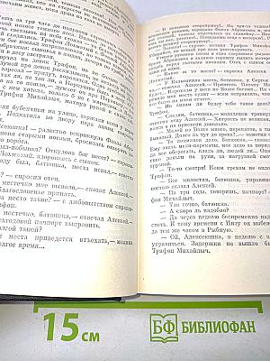 В лесах. Книга вторая