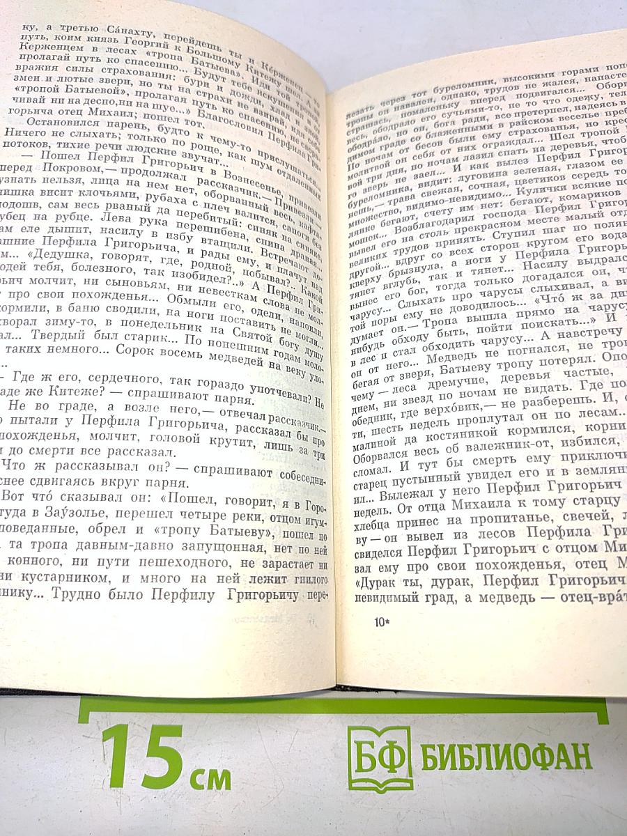 В лесах. Книга вторая