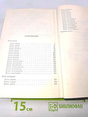 В лесах. Книга вторая