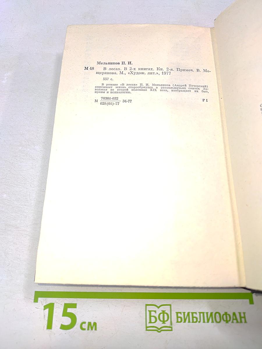 В лесах. Книга вторая