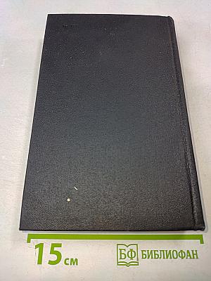 В лесах. Книга вторая