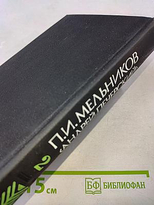 В лесах. Книга вторая