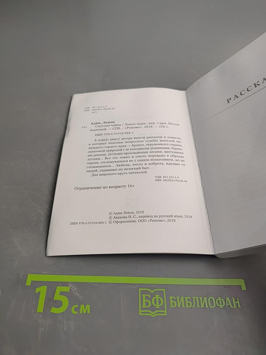 Смуглая чайка