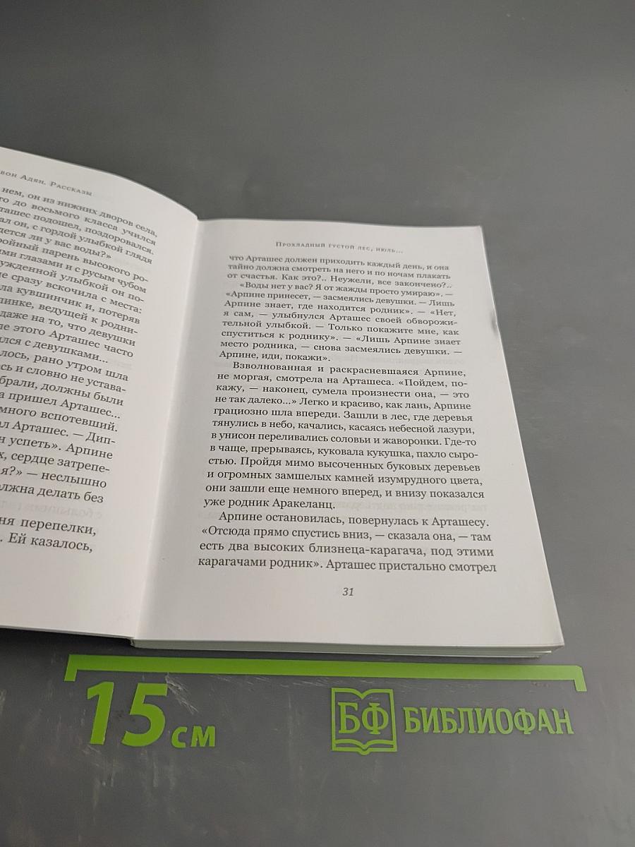 Смуглая чайка