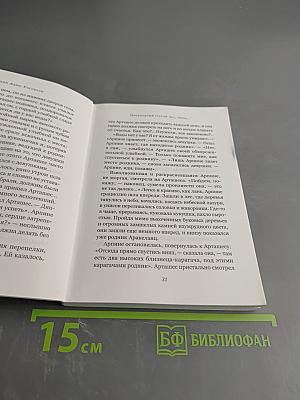 Смуглая чайка