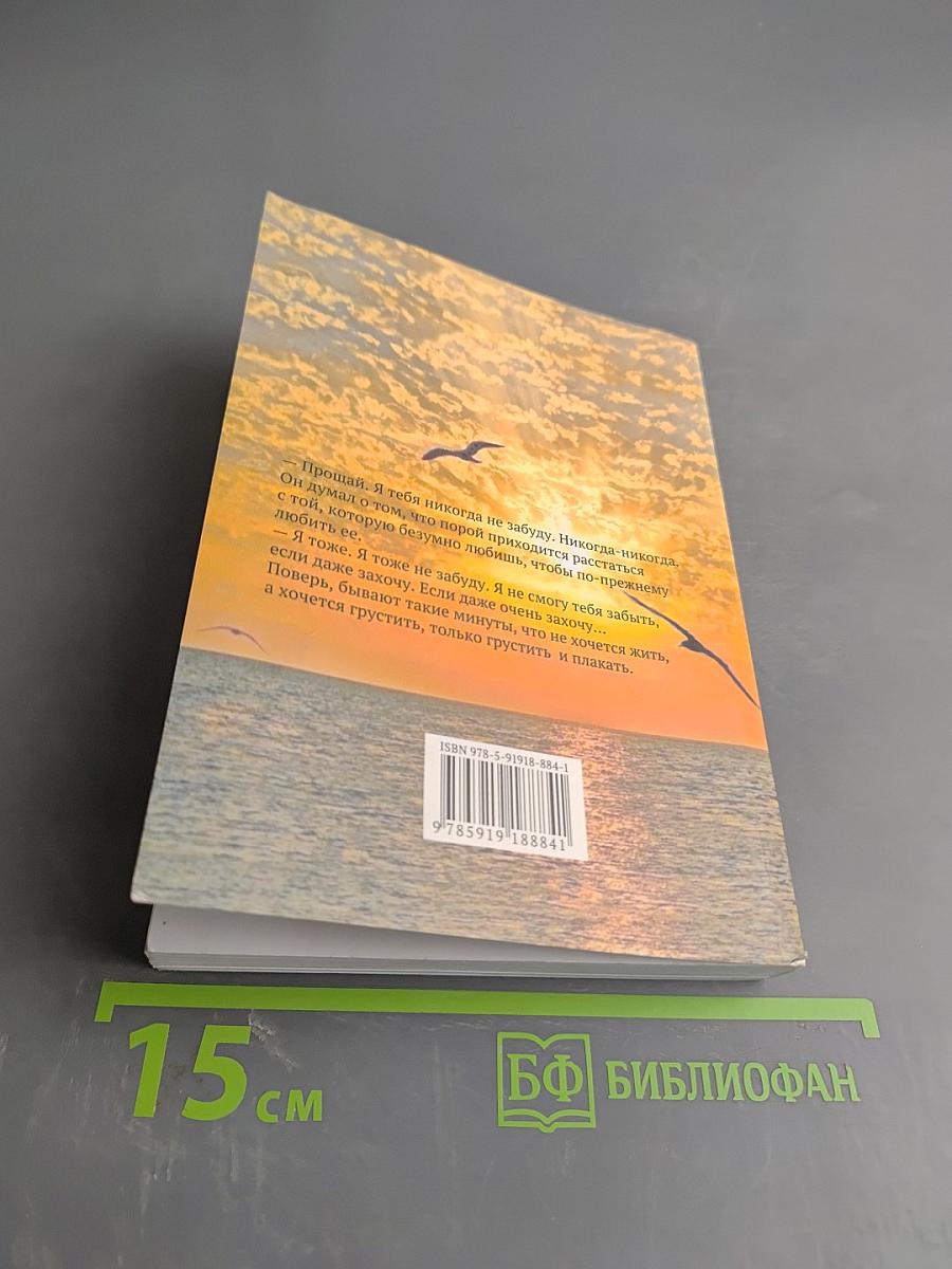 Смуглая чайка