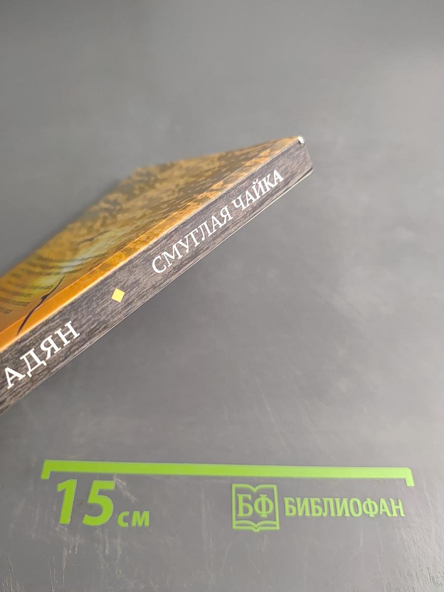 Смуглая чайка