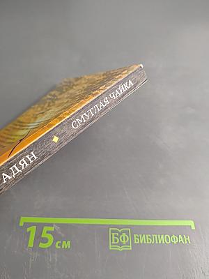 Смуглая чайка