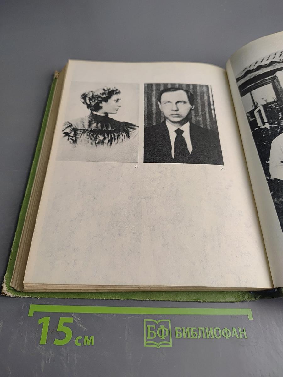 Ядвига Чюрлёните Воспоминания о М.К. Чюрлёнисе