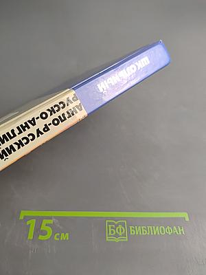 Школьный англо-русский, русско-английский словарь