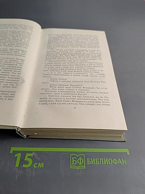 Собрание сочинений. Том 1. Рассказы 1881