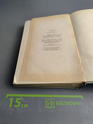 Собрание сочинений. Том 1. Рассказы 1881
