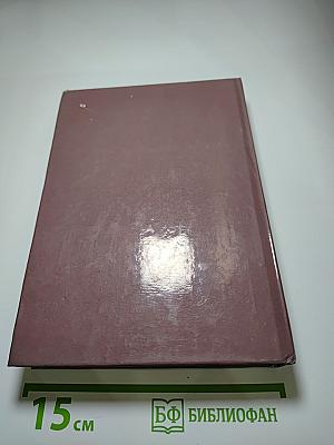 Радищев. Михайловский замок
