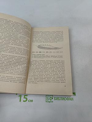 Полезные и вредные растения Ленинградской области