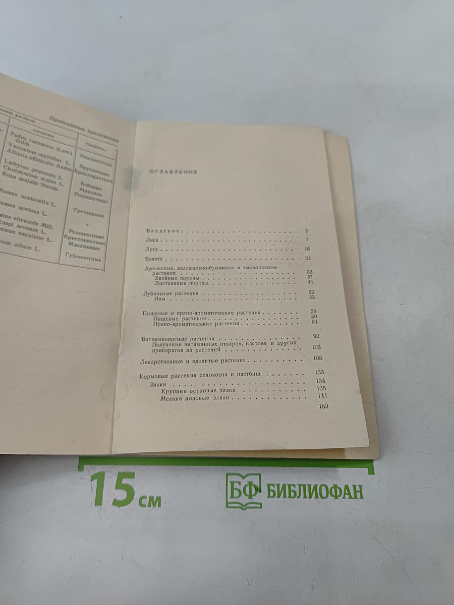 Полезные и вредные растения Ленинградской области