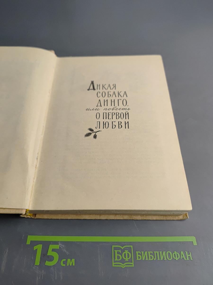 Дикая собака Динго, или Повесть о первой любви. Золотой Василек