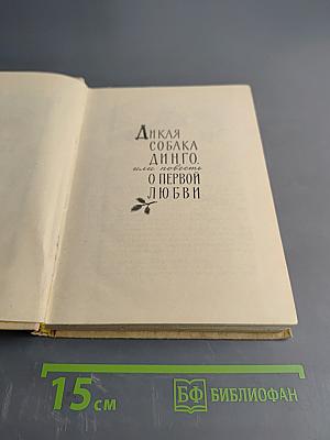 Дикая собака Динго, или Повесть о первой любви. Золотой Василек