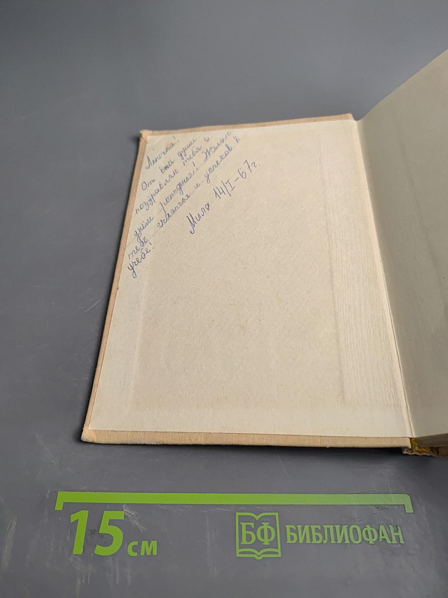 Дикая собака Динго, или Повесть о первой любви. Золотой Василек