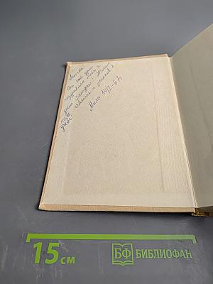 Дикая собака Динго, или Повесть о первой любви. Золотой Василек