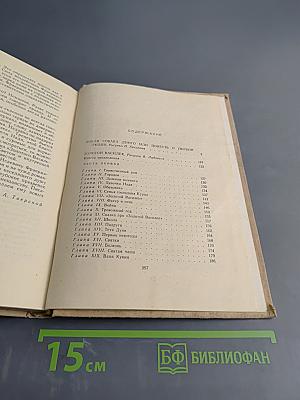 Дикая собака Динго, или Повесть о первой любви. Золотой Василек