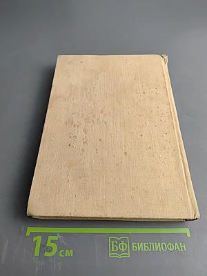 Дикая собака Динго, или Повесть о первой любви. Золотой Василек