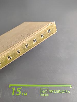 Дикая собака Динго, или Повесть о первой любви. Золотой Василек