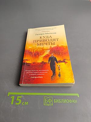 Куда приводят мечты
