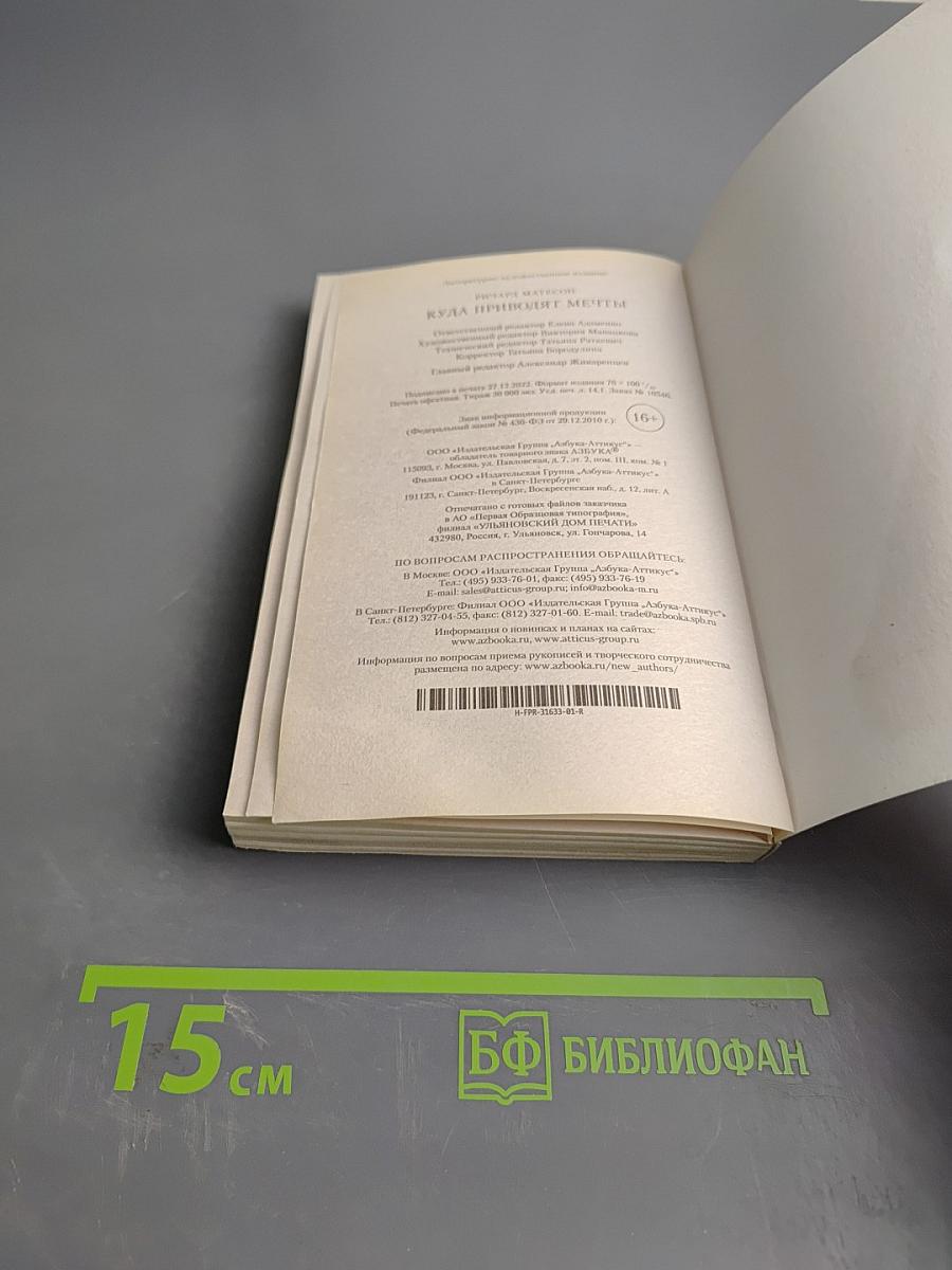 Куда приводят мечты