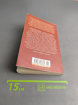 Куда приводят мечты