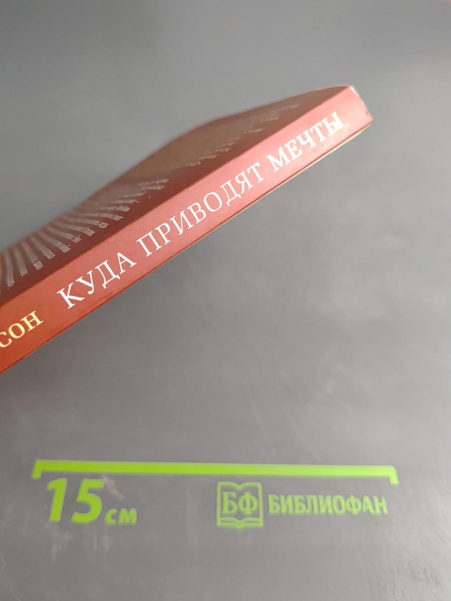 Куда приводят мечты