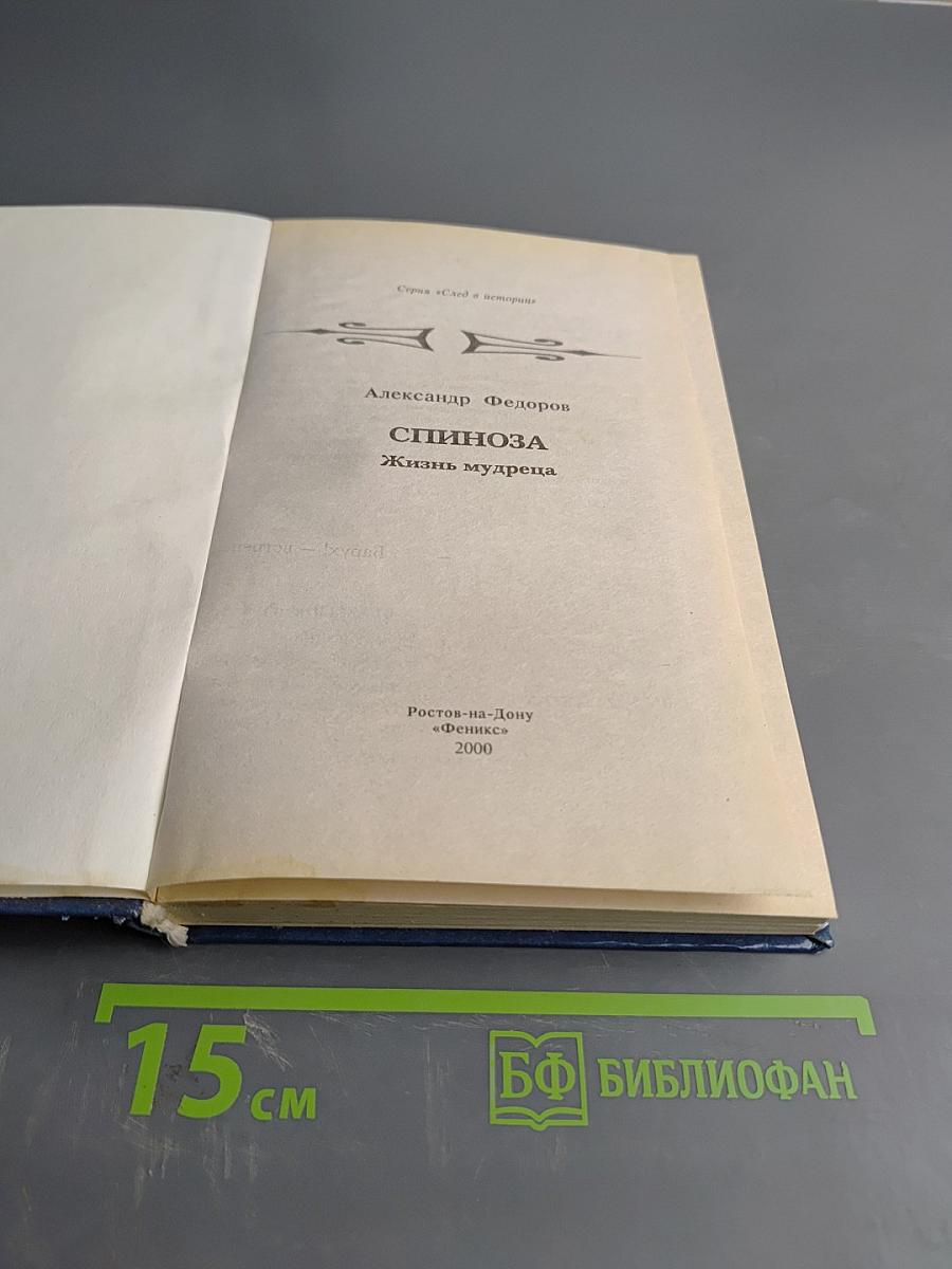 Спиноза. Жизнь мудреца