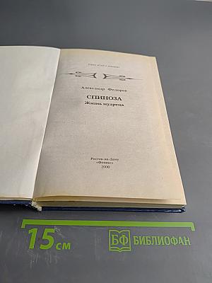 Спиноза. Жизнь мудреца