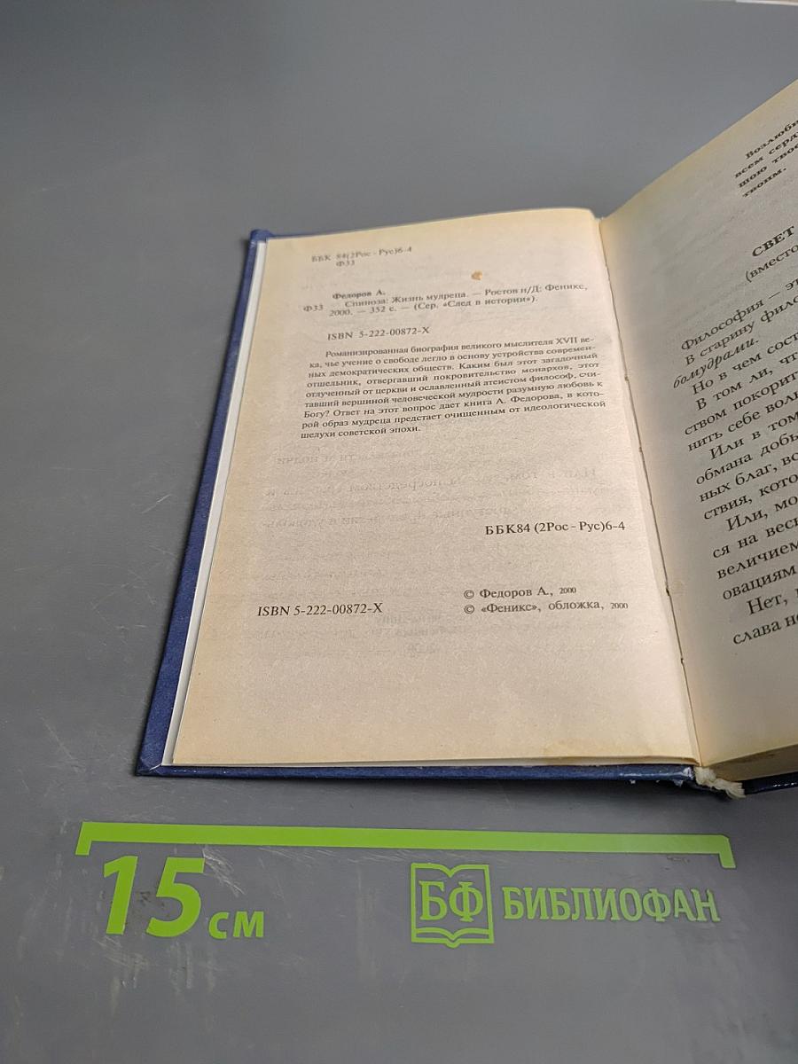 Спиноза. Жизнь мудреца